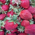 Điều gì xảy ra nếu bạn đổ sữa lên dâu tây: một nghi thức kỳ lạ làm thay đổi hương vị của quả mọng dieu-gi-xay-ra-neu-ban-do-sua-len-dau.jpg